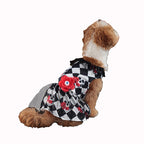 Pet Halloween Party Dress | Premium Dog Costume