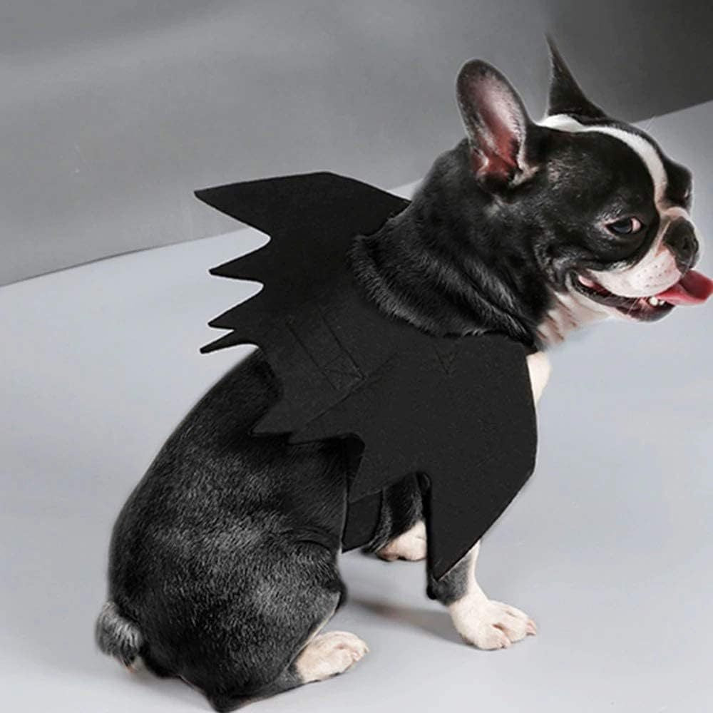 Pet Bat & Spider Wings | Premium Halloween Costume Prop