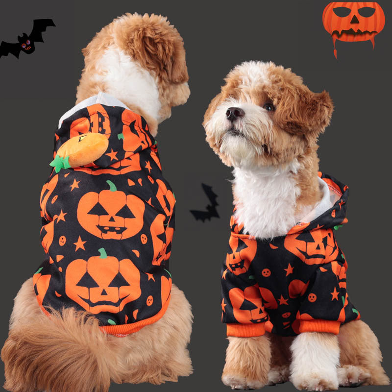 Dog wearing a Halloween-themed pet hoodie