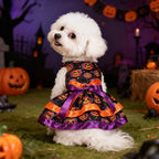 Pet Pumpkin Skull Bow Skirt | Premium Halloween Dog Costume