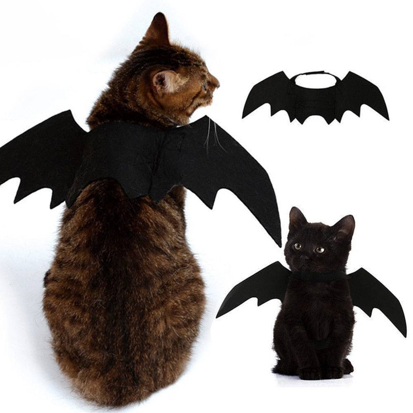 Cat Bat Wing Costume | Premium Halloween Pet Accessory