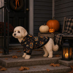 Pumpkin Wizard Pet Hoodie | Premium Halloween Costume