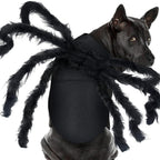 Pet Bat & Spider Wings | Premium Halloween Costume Prop