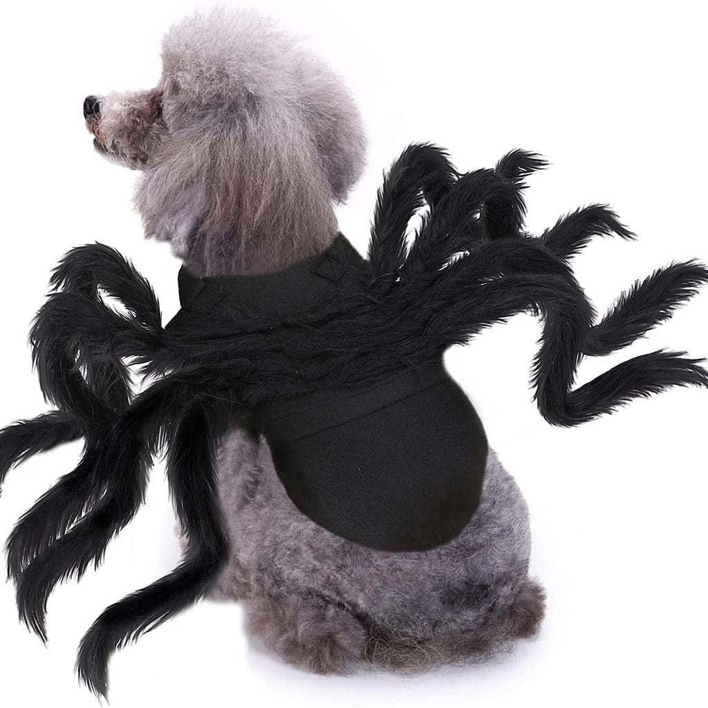 Pet Bat & Spider Wings | Premium Halloween Costume Prop