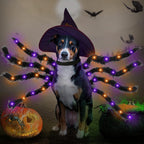 Pet Bat & Spider Wings | Premium Halloween Costume Prop