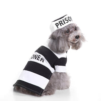 Funny Dog Halloween Costume | Premium Pet Cosplay