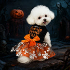 Pet Skull Print Dress | Premium Halloween Costume for Dogs & Cats