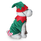 Funny Dog Halloween Costume | Premium Pet Cosplay