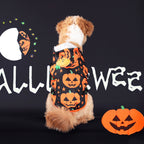 Pumpkin Hoodie for Dogs | Premium Halloween Pet Sweatshirt
