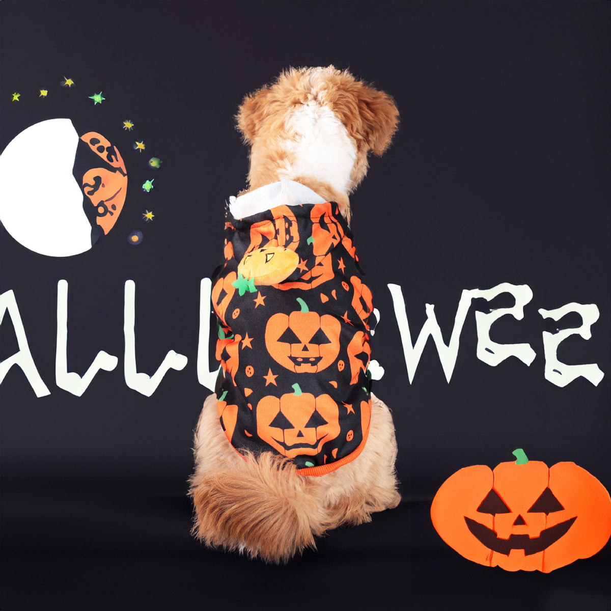 Pumpkin Hoodie for Dogs | Premium Halloween Pet Sweatshirt