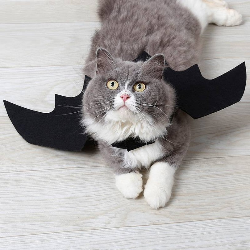 Cat Bat Wing Costume | Premium Halloween Pet Accessory