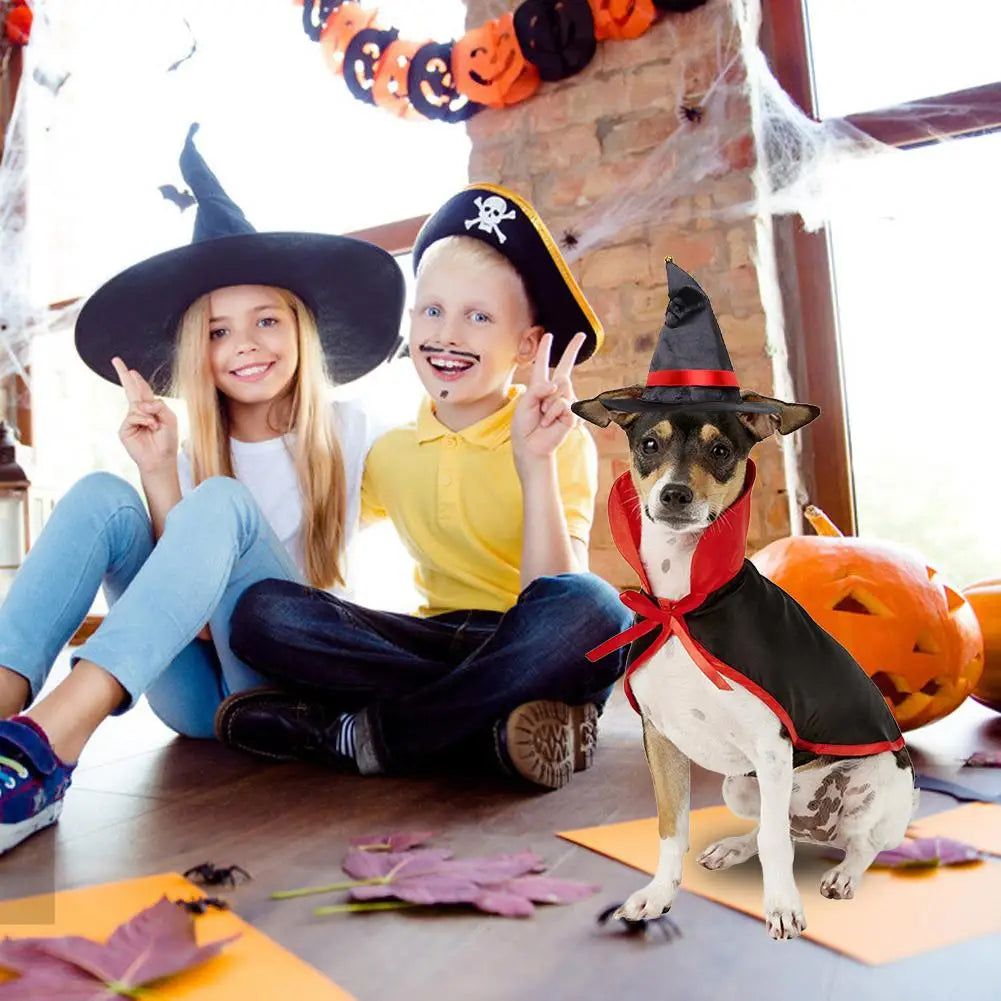 Pet Cloak & Hat Costume Set | Premium Halloween Cosplay for Cats & Dogs